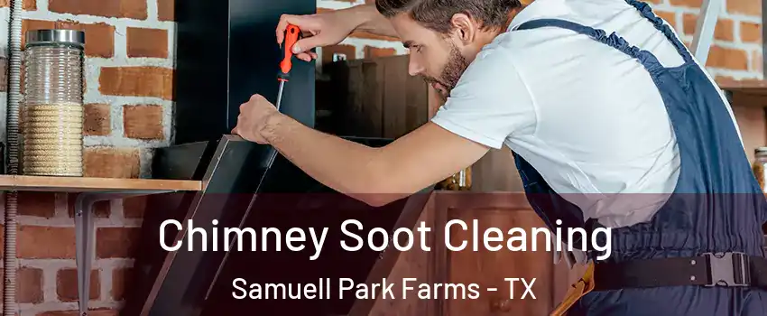 Chimney Soot Cleaning Samuell Park Farms - TX