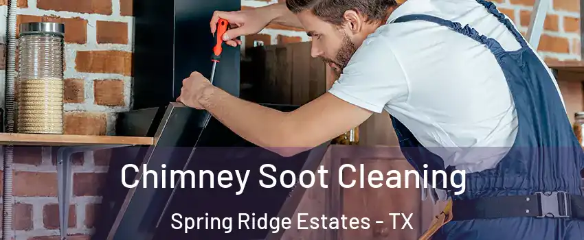 Chimney Soot Cleaning Spring Ridge Estates - TX