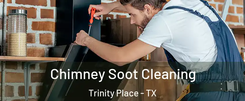 Chimney Soot Cleaning Trinity Place - TX