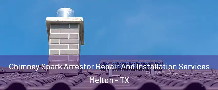 Chimney Spark Arrestor Repair And Installation Services Melton - TX