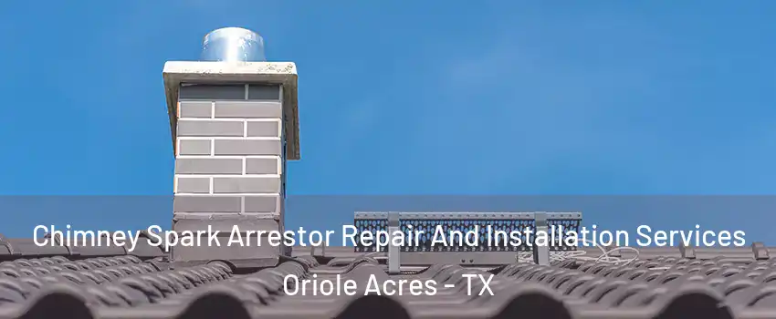 Chimney Spark Arrestor Repair And Installation Services Oriole Acres - TX
