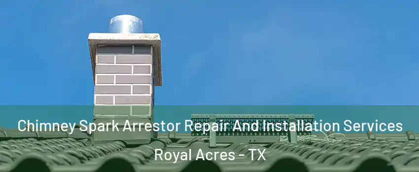Chimney Spark Arrestor Repair And Installation Services Royal Acres - TX