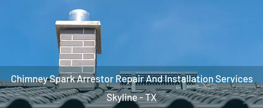 Chimney Spark Arrestor Repair And Installation Services Skyline - TX