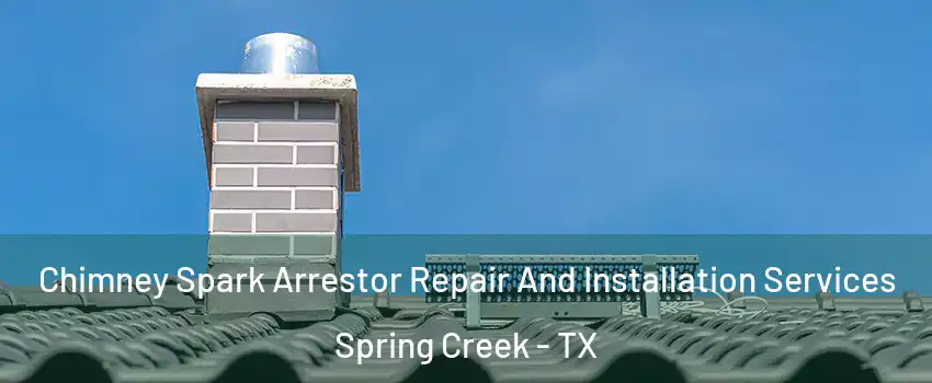 Chimney Spark Arrestor Repair And Installation Services Spring Creek - TX