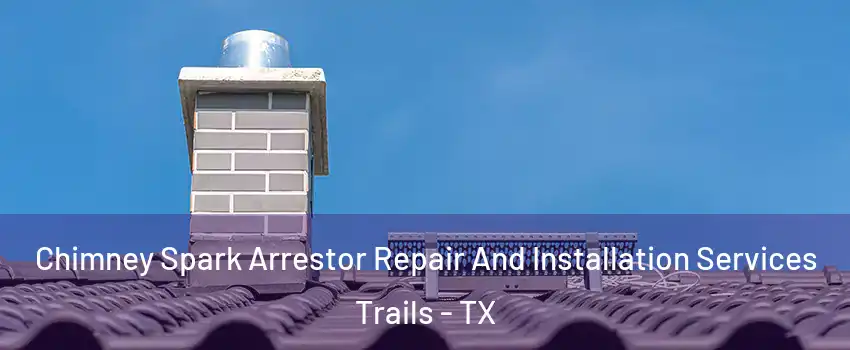 Chimney Spark Arrestor Repair And Installation Services Trails - TX