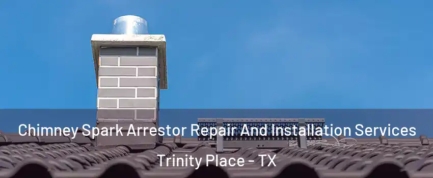 Chimney Spark Arrestor Repair And Installation Services Trinity Place - TX