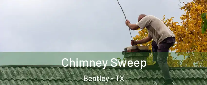 Chimney Sweep Bentley - TX