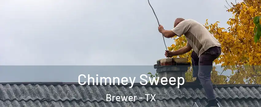 Chimney Sweep Brewer - TX