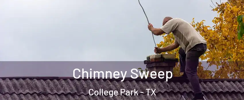 Chimney Sweep College Park - TX