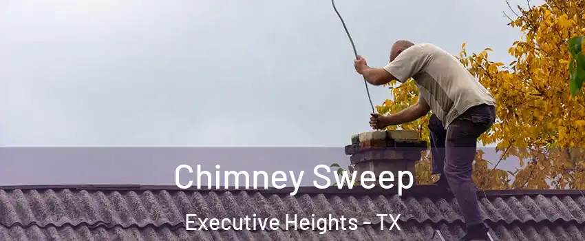Chimney Sweep Executive Heights - TX