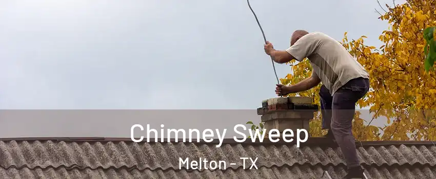 Chimney Sweep Melton - TX