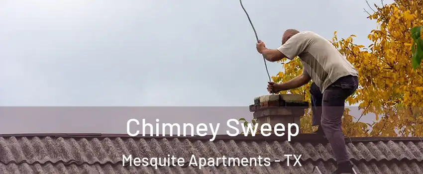 Chimney Sweep Mesquite Apartments - TX
