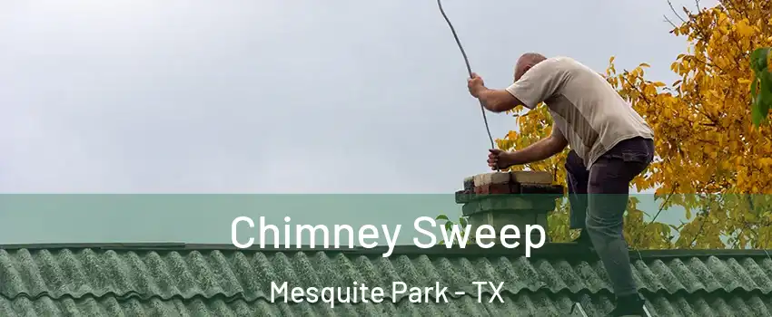 Chimney Sweep Mesquite Park - TX