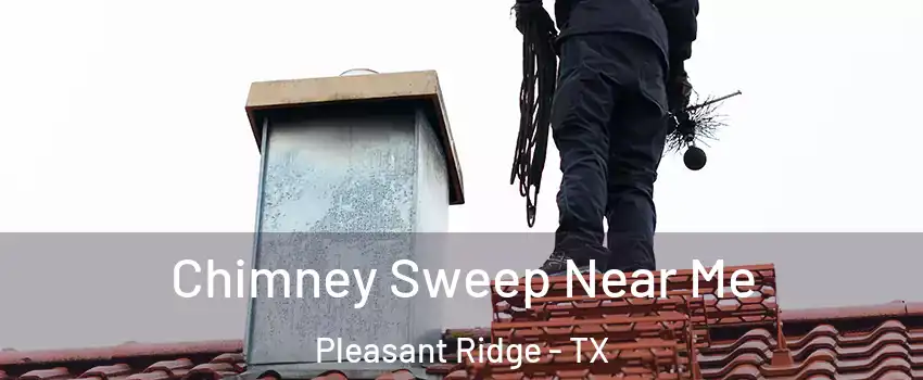 Chimney Sweep Near Me Pleasant Ridge - TX