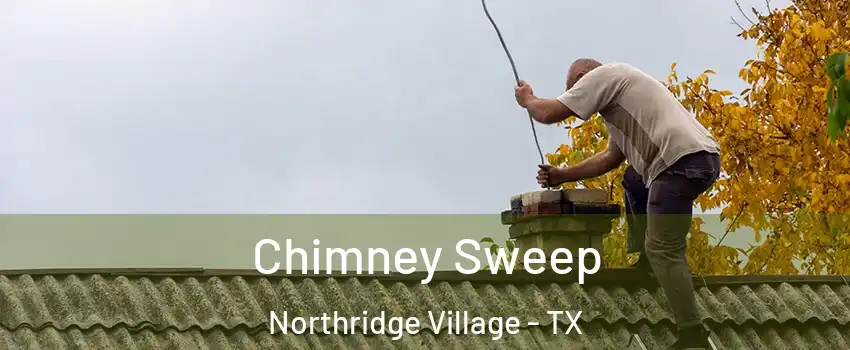 Chimney Sweep Northridge Village - TX