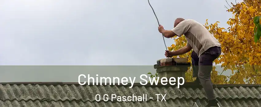 Chimney Sweep O G Paschall - TX