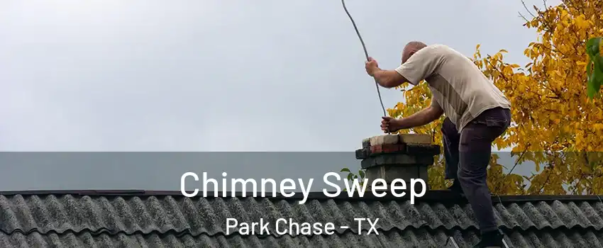 Chimney Sweep Park Chase - TX