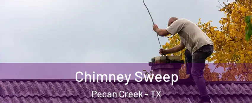 Chimney Sweep Pecan Creek - TX