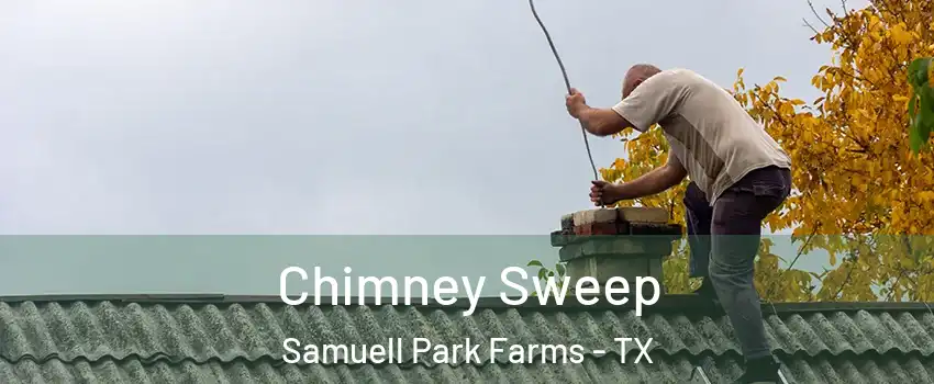 Chimney Sweep Samuell Park Farms - TX