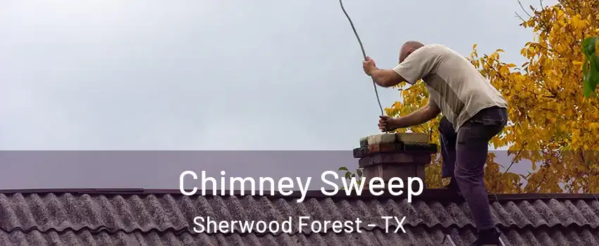 Chimney Sweep Sherwood Forest - TX