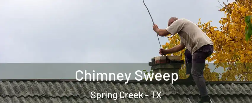 Chimney Sweep Spring Creek - TX