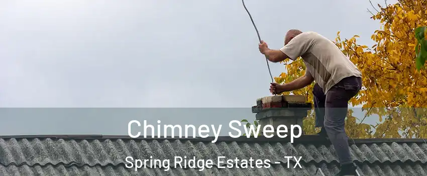 Chimney Sweep Spring Ridge Estates - TX