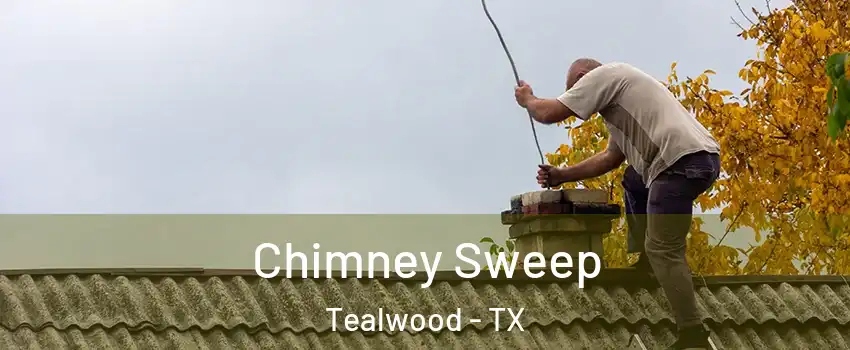 Chimney Sweep Tealwood - TX