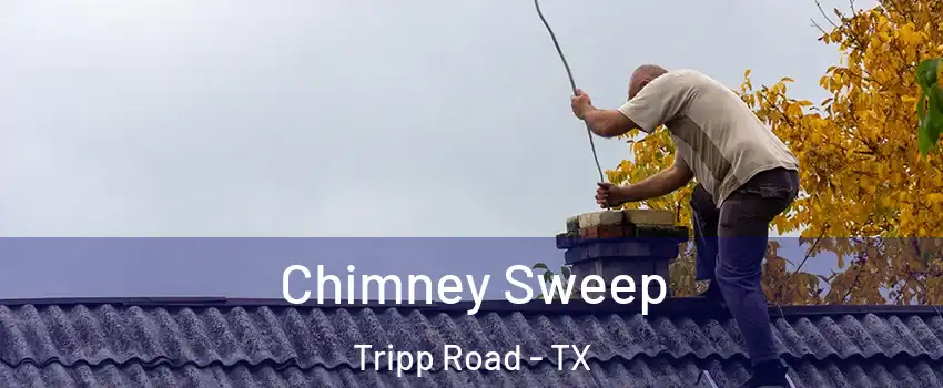 Chimney Sweep Tripp Road - TX