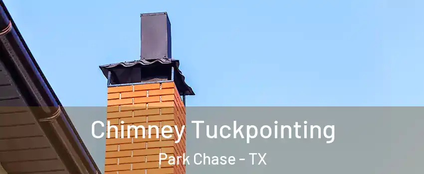 Chimney Tuckpointing Park Chase - TX