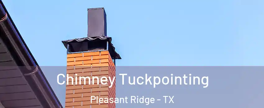 Chimney Tuckpointing Pleasant Ridge - TX