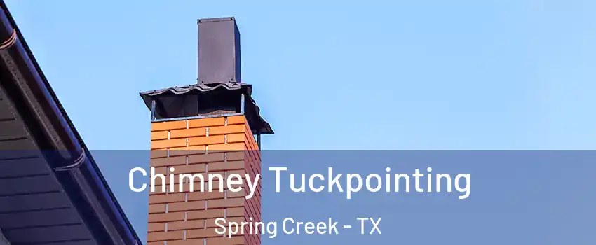 Chimney Tuckpointing Spring Creek - TX