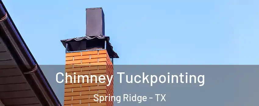 Chimney Tuckpointing Spring Ridge - TX
