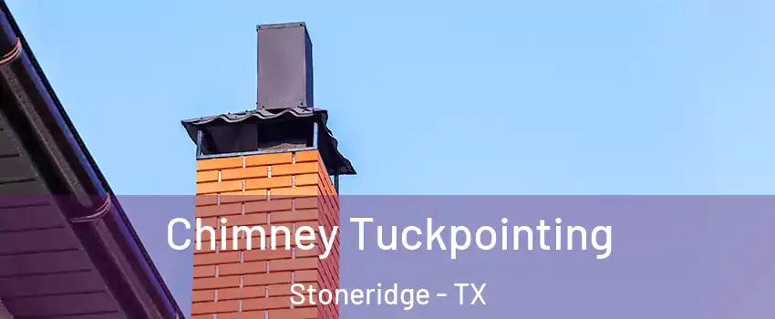 Chimney Tuckpointing Stoneridge - TX