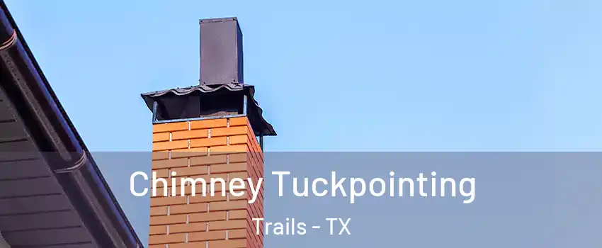 Chimney Tuckpointing Trails - TX