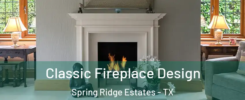 Classic Fireplace Design Spring Ridge Estates - TX