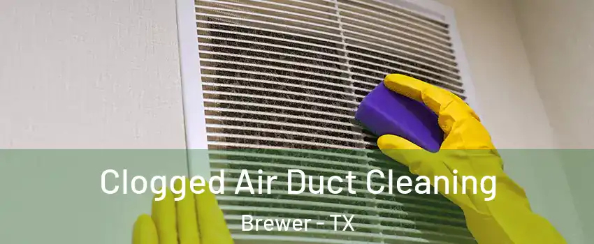 Clogged Air Duct Cleaning Brewer - TX