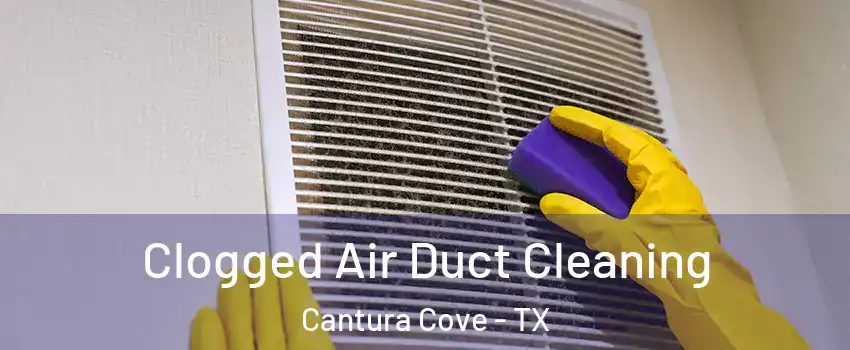 Clogged Air Duct Cleaning Cantura Cove - TX