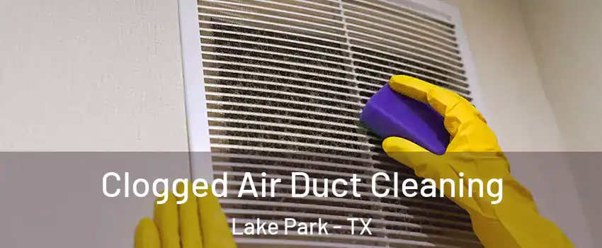Clogged Air Duct Cleaning Lake Park - TX