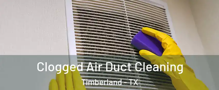 Clogged Air Duct Cleaning Timberland - TX