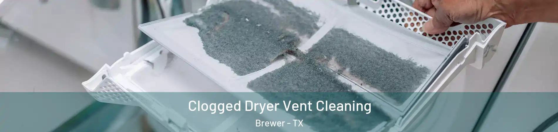 Clogged Dryer Vent Cleaning Brewer - TX