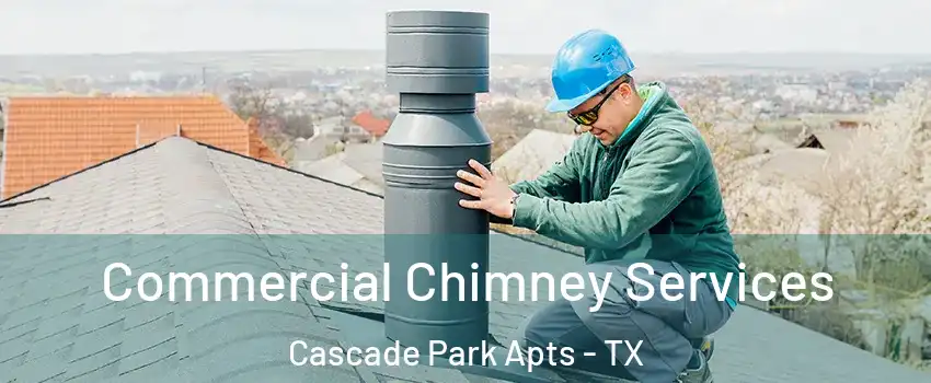 Commercial Chimney Services Cascade Park Apts - TX