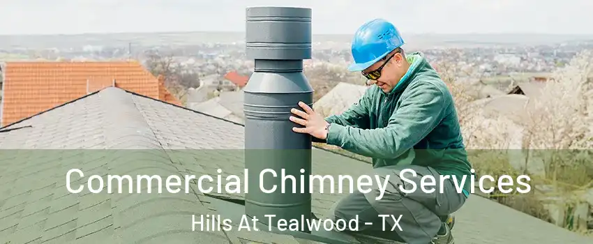 Commercial Chimney Services Hills At Tealwood - TX
