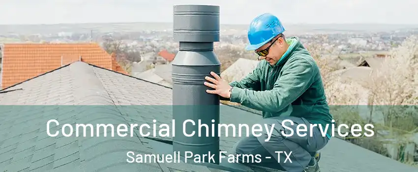 Commercial Chimney Services Samuell Park Farms - TX