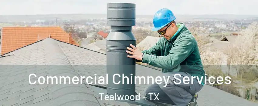Commercial Chimney Services Tealwood - TX