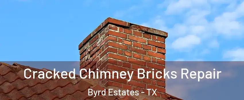 Cracked Chimney Bricks Repair Byrd Estates - TX