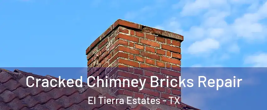 Cracked Chimney Bricks Repair El Tierra Estates - TX