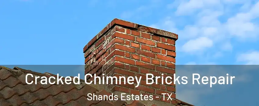 Cracked Chimney Bricks Repair Shands Estates - TX