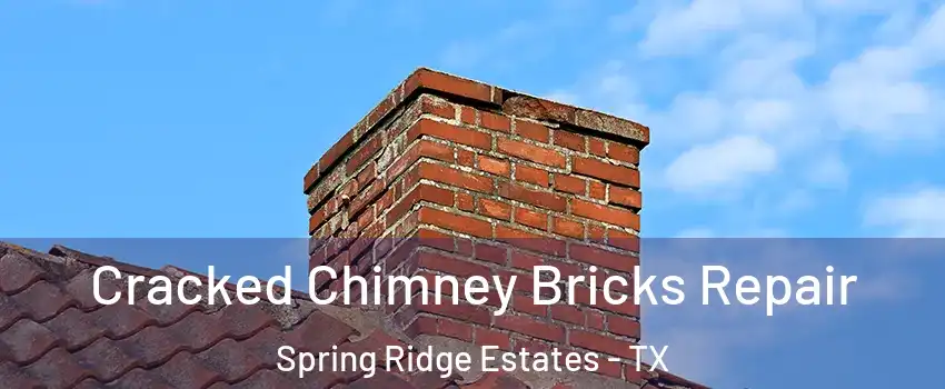 Cracked Chimney Bricks Repair Spring Ridge Estates - TX