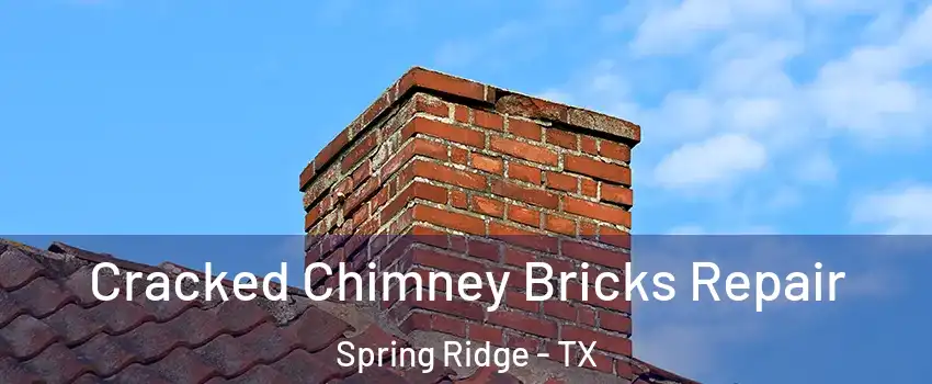 Cracked Chimney Bricks Repair Spring Ridge - TX