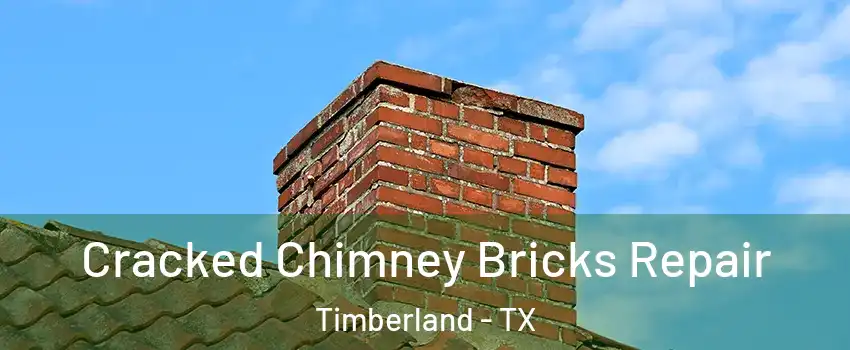 Cracked Chimney Bricks Repair Timberland - TX